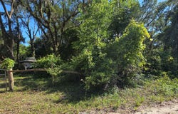 Old Town, FL 32680