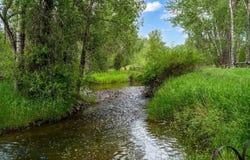 1983 Stagecoach Trail, Manhattan, MT 59741