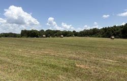 Wallace Mill Rd, Leighton, AL 35646