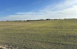 Cherry Road, Diamond, MO 64840