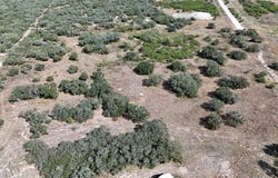 Highway 202- Tract 25, Refugio, TX 78377