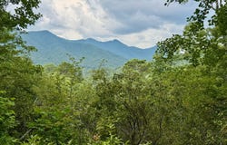 Raven Fork Trail lot: 6, Dillard, GA 30537