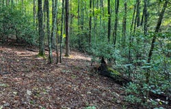 Tall Tree Trail lot: 412, Dunlap, TN 37327