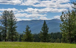 3145 Hubbart Dam Road, Marion, MT 59925