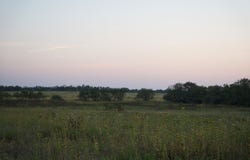2035 County Rd 4483, Rochelle, TX 76872