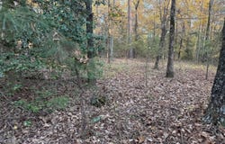 9999 easement Road, Cove, AR 71937