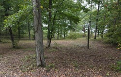 Crow Lane lot: 63, Bath Springs, TN 38311