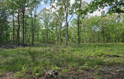 588 Lebanon Road, McRae, AR 72102