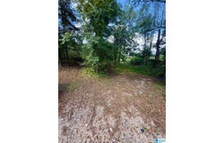 7526 CAHABA AVENUE lot: 9/1, LEEDS, AL 35094
