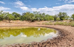 County Road 306, Moran, TX 76464