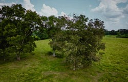 Thomas School Road, Lumberton, MS 39455