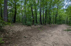 Fosmo Drive lot: 4, Webster, WI 54893