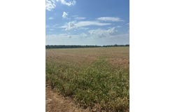 Tbd Blue Cane Road, Charleston, MS 38921
