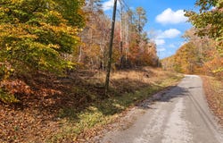 Wild Ridge Road, Morehead, KY 40351
