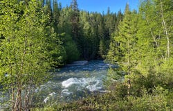 4332 Grave Creek Road, Eureka, MT 59917