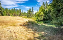 TBD CA-88, Pioneer, CA 95666