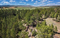 50 Acres 10321 Two Track Trail, Custer County, SD 57735