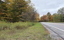 St Rt 8, Cold Brook, NY 13324