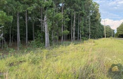 Fire Tower Road, Salley, SC 29137