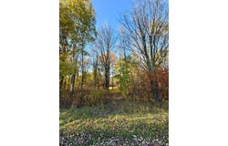 ON PENNINGTON RD, Prentice, WI 54556
