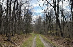 Iona Rd, White Oak, WV 25989