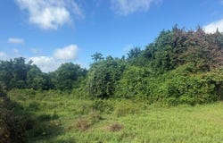 N 4230 Road, Hugo, OK 74743