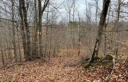 RT 64 Braden Hill Rd., Alma, WV 26320