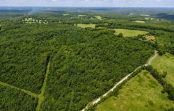 State Highway E, Hartville, MO 65667
