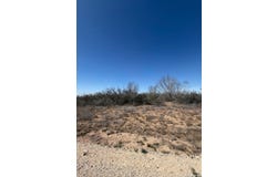 254 Frio Estates Dr, Moore, TX 78057