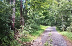 BATTERY HILL LN, TYRO, VA 22976