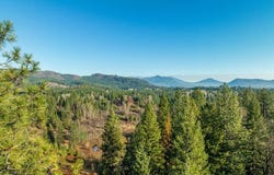 Nka ID-57, Priest River, ID 83856