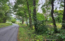 16871 SAPLING RIDGE RD, ELKTON, VA 22827