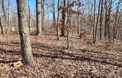 Dixie Ln, HOLLADAY, TN 38341