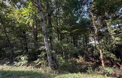 Creek Path/Browns Valley Rd lot: 38, Guntersville, AL 35976