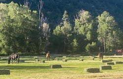 20018 Road 36, Dolores, CO 81323