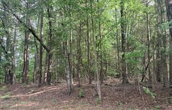 Skipwtih Rd lot: 079, Boydton, VA 23917
