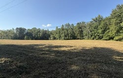Ellis Lane, SPRINGVILLE, TN 38256
