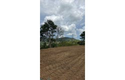 Plata, Aibonito, PR 00705