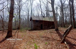 Johnson Farm Road, Pilot Mountain, NC 27041