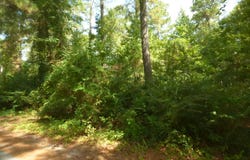 Cedar Drive lot: 27, Monticello, MS 39654