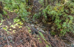 4 Old Mill AVE, FELTON, CA 95018