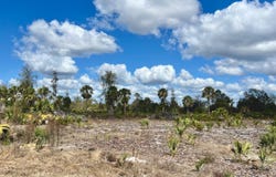 SHILOH ROAD, CEDAR KEY, FL 32625
