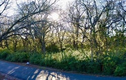 2107 Island, Bonham, TX 75418