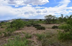 411 Sagebrush Road, Alpine, TX 79830