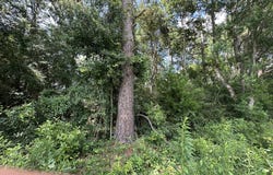 B3 Duval Drive, AL