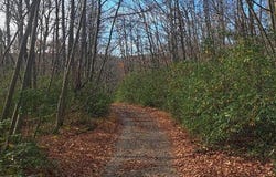 FOX TAIL Road, OAKLAND, MD 21550