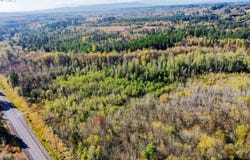 HENRIOT Rd, Winlock, WA 98596