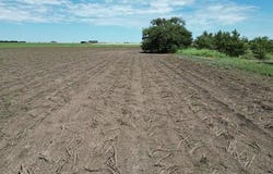 6916 E FM 1294, Idalou, TX 79329