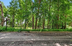 911 N Wooded Lane, Marshall, MI 49068