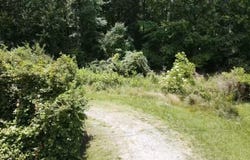 Baldwin Rd, Burlington, NC 27217